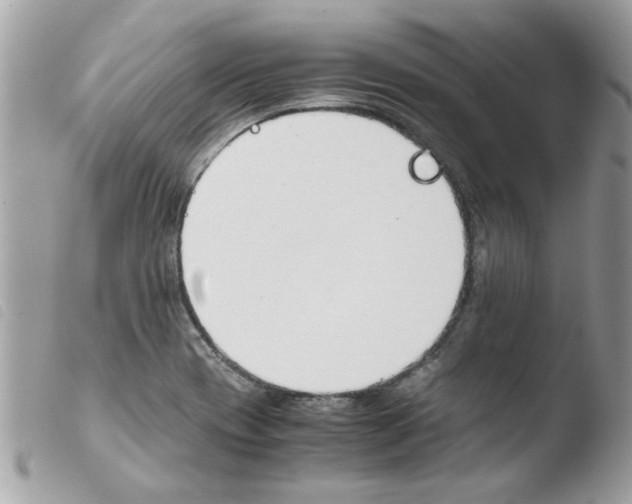 X0000103941417200810171804