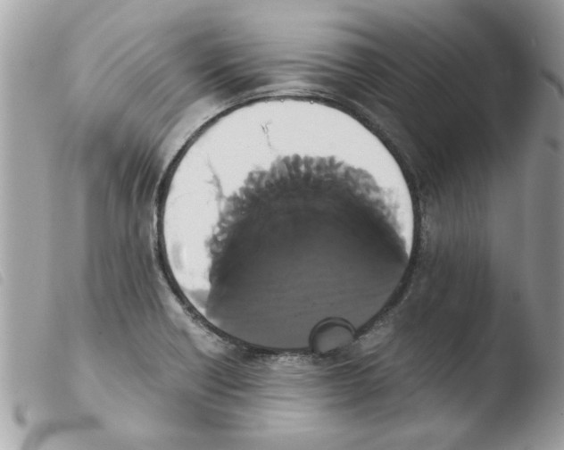 X0000103941418200810171804