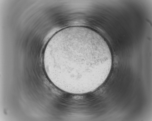 X0000103941419200810171804