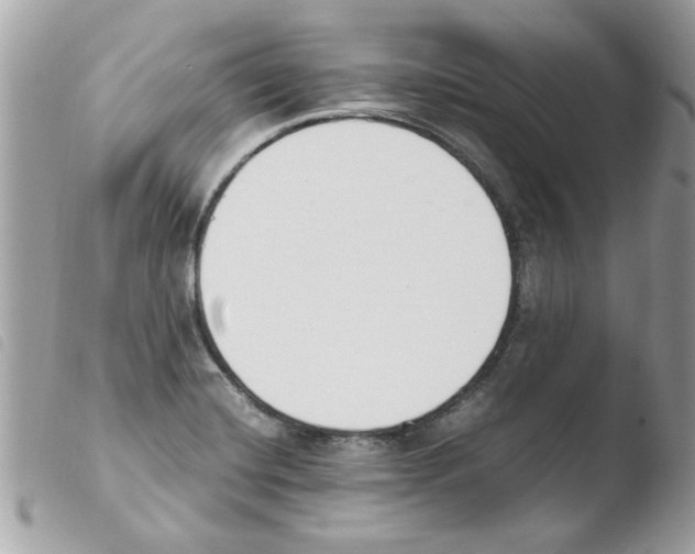 X0000103941420200810171804