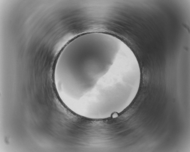 X0000103941422200810171805