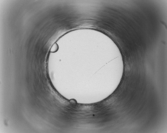 X0000103941423200810171805