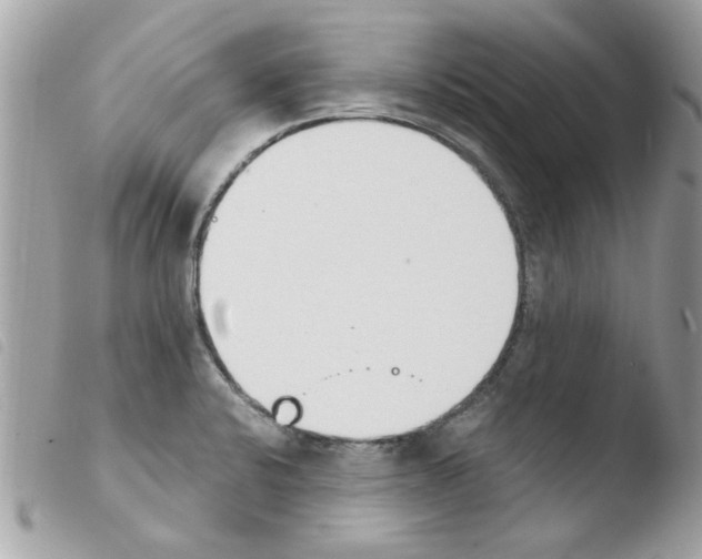 X0000103941424200810171805