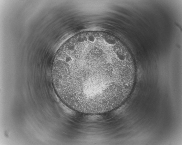 X0000103941425200810171805