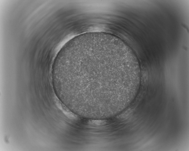 X0000103941427200810171805