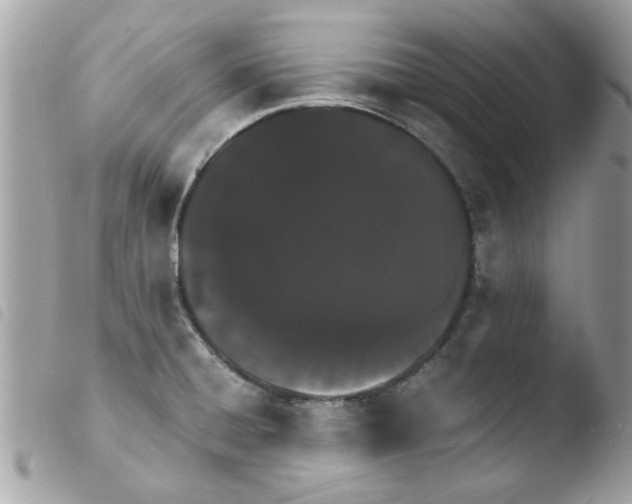 X0000103941428200810171805