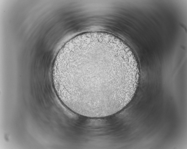 X0000103941429200810171805