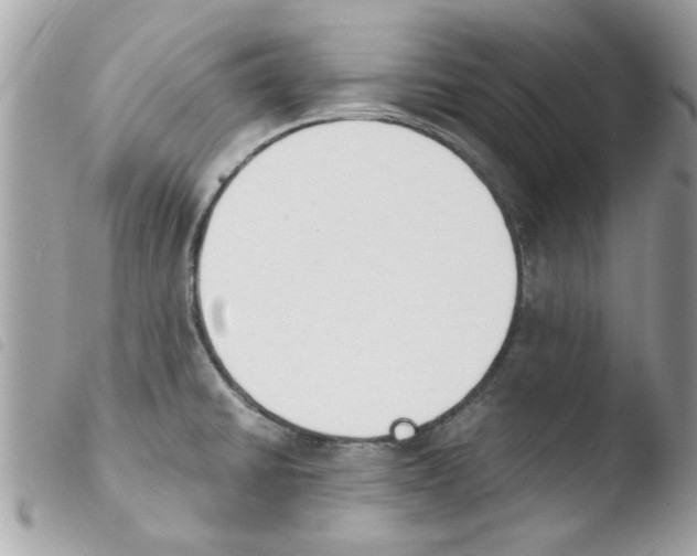 X0000103941430200810171805