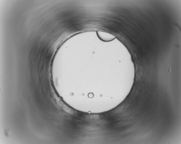 X0000103941431200810171805