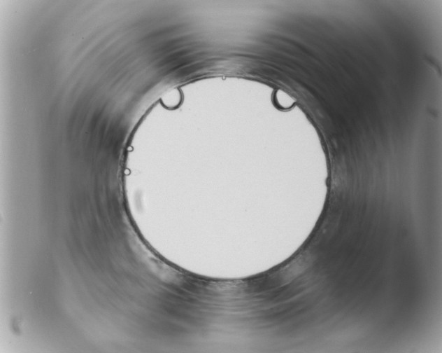 X0000103941434200810171805