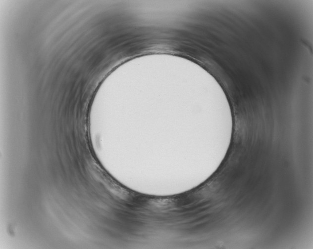 X0000103941435200810171805