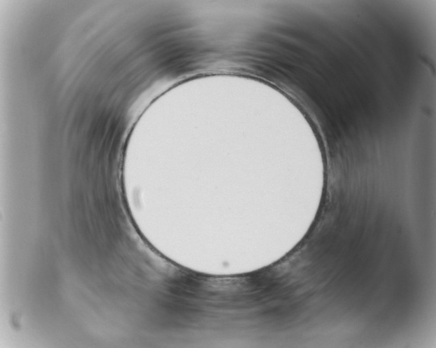 X0000103941437200810171805