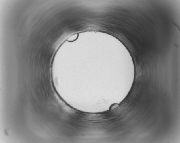 X0000103941439200810171805