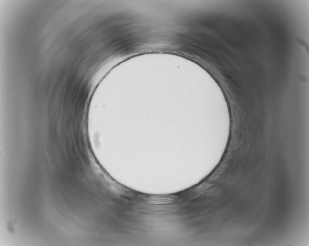 X0000103941440200810171805