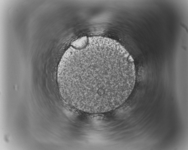 X0000103941441200810171804