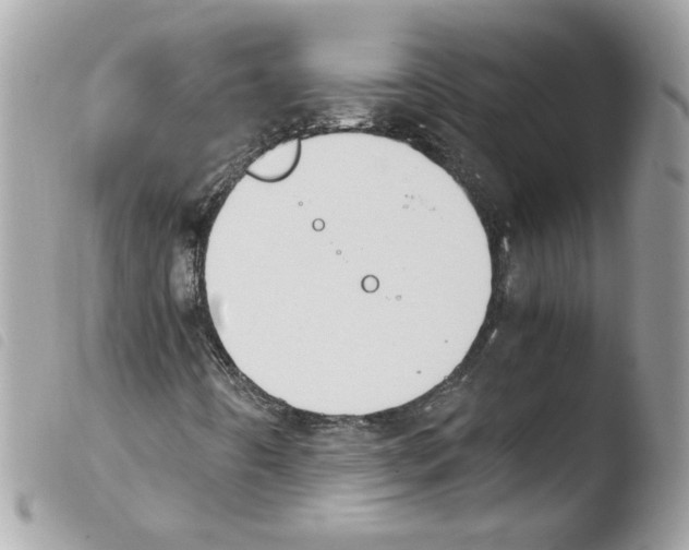 X0000103941442200810171804