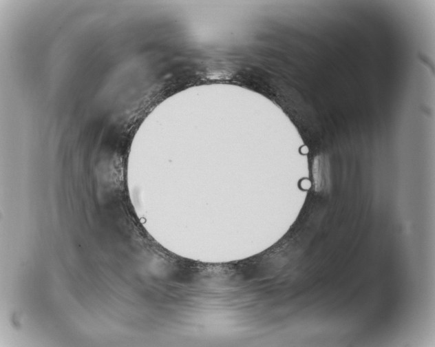 X0000103941443200810171804