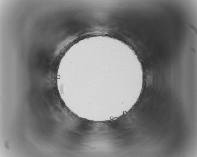 X0000103941448200810171804