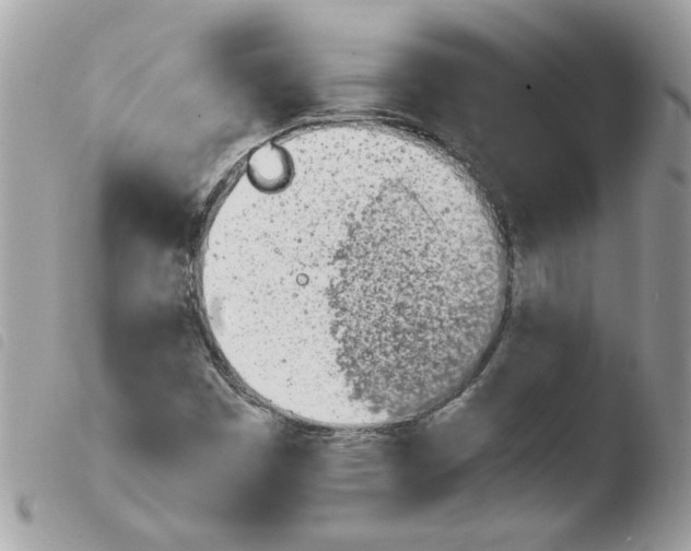 X0000103941449200810171804