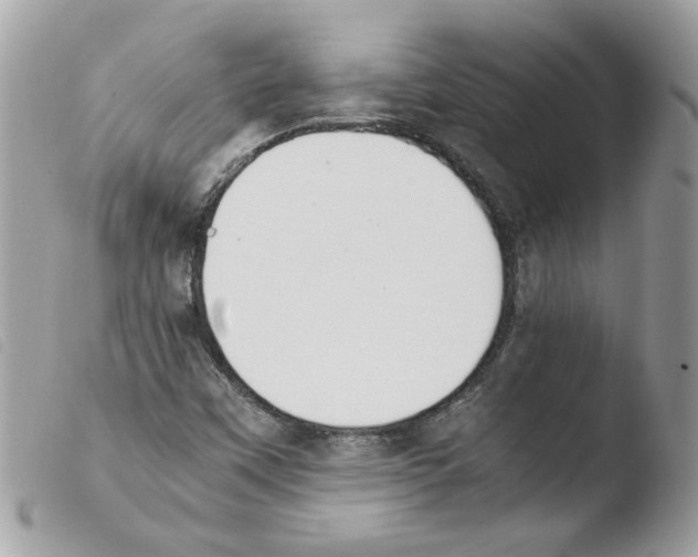 X0000103941451200810171804