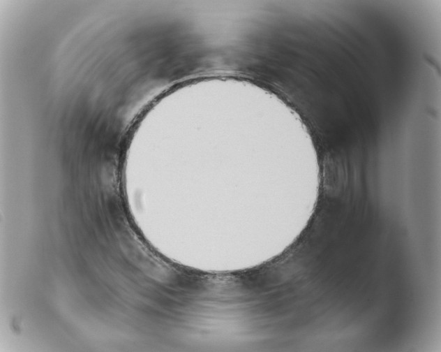 X0000103941452200810171804