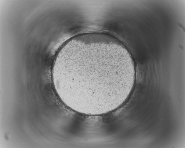 X0000103941453200810171804