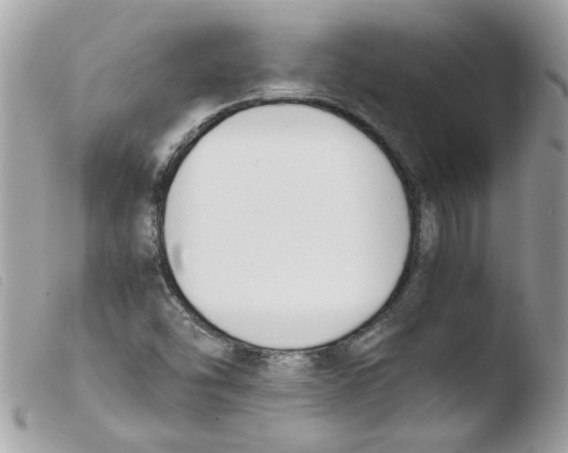 X0000103941454200810171804