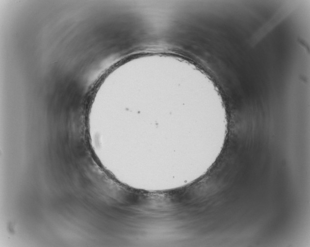 X0000103941456200810171804