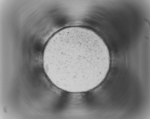 X0000103941457200810171804