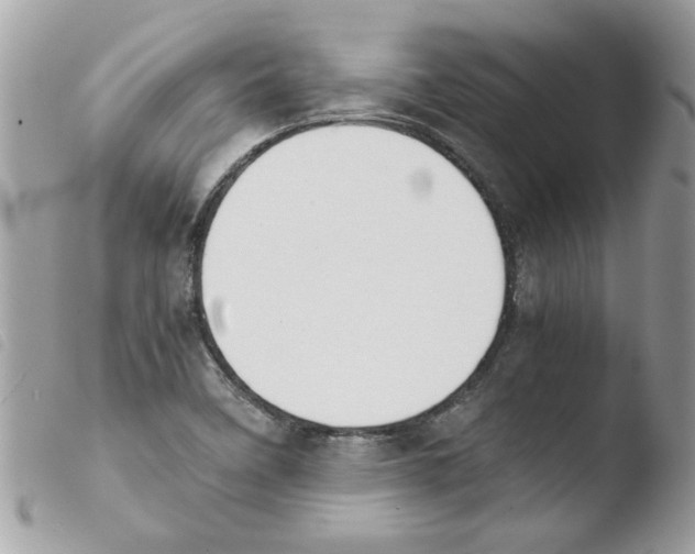 X0000103941458200810171804