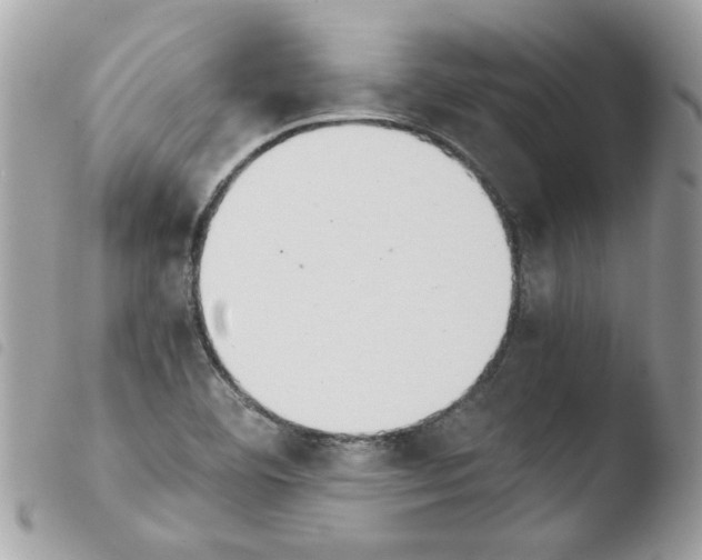 X0000103941460200810171804