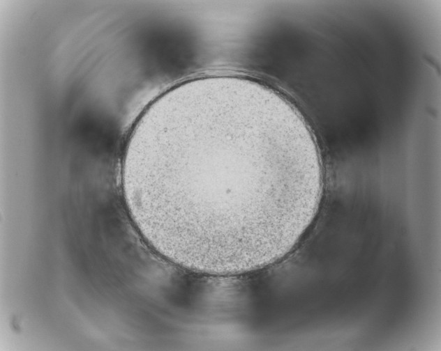 X0000103941461200810171804