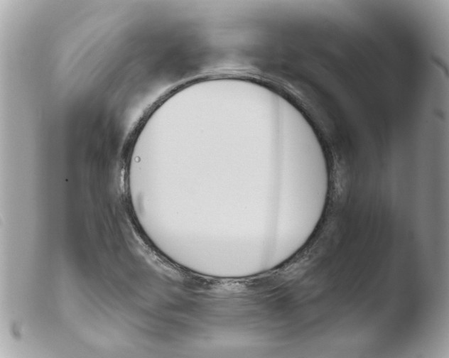 X0000103941462200810171804