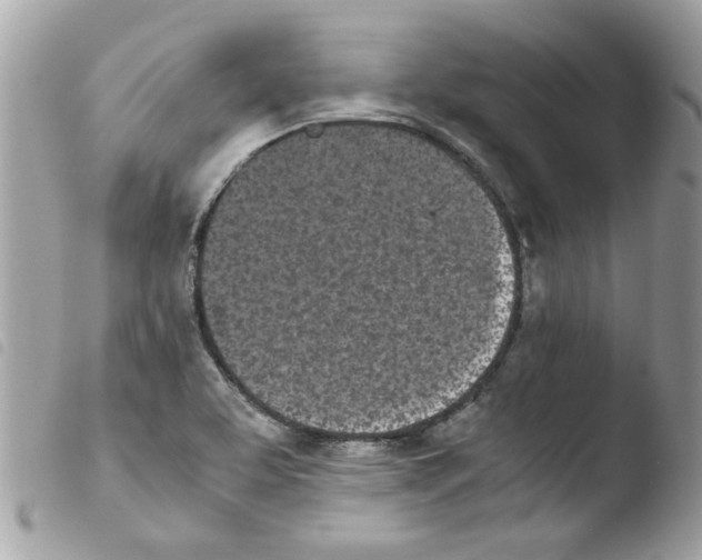 X0000103941463200810171804