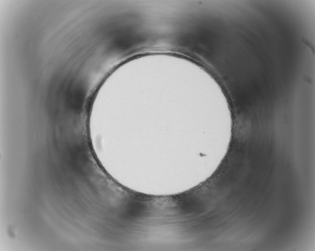 X0000103941464200810171804