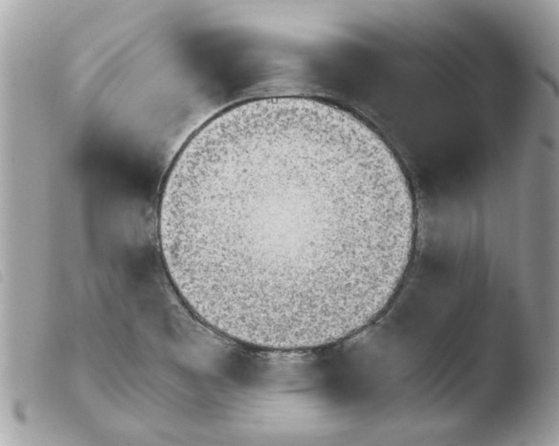 X0000103941465200810171804