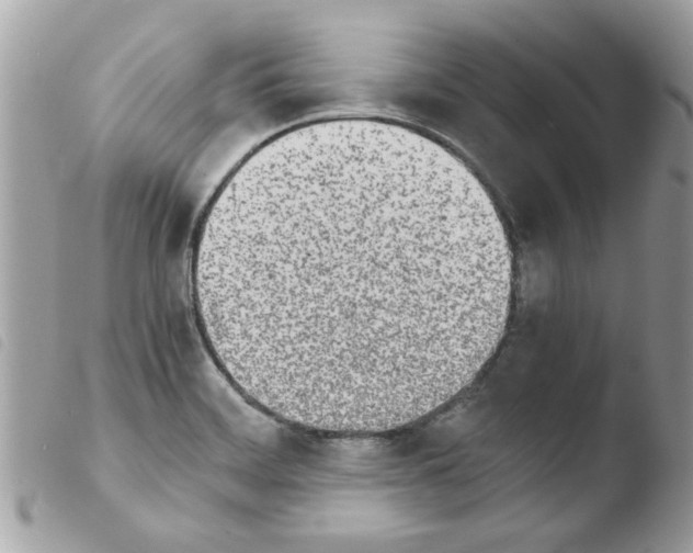 X0000103941468200810171804