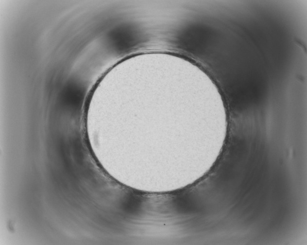 X0000103941469200810171804