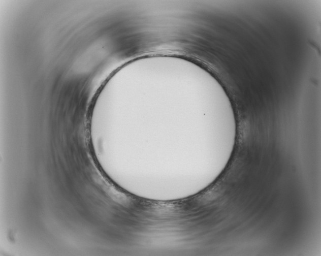 X0000103941470200810171804