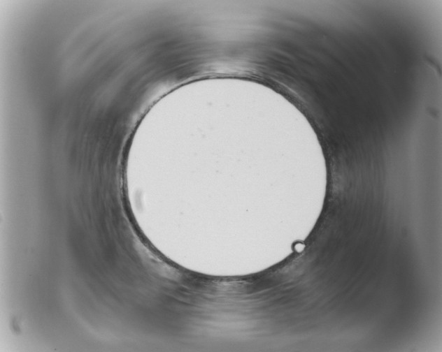 X0000103941471200810171803