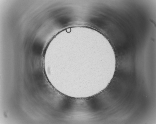 X0000103941472200810171803