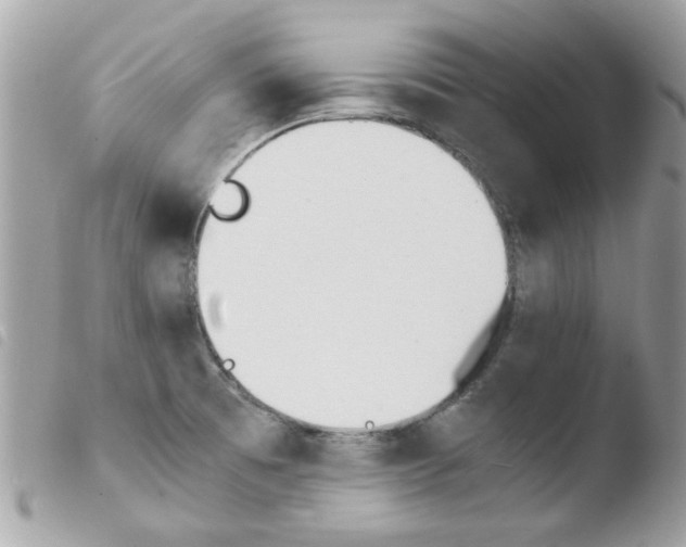 X0000103941473200810171803