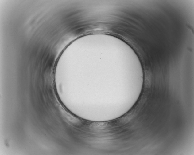 X0000103941474200810171803