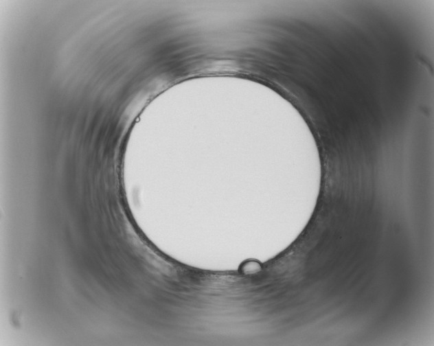 X0000103941475200810171803