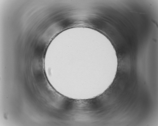 X0000103941476200810171803