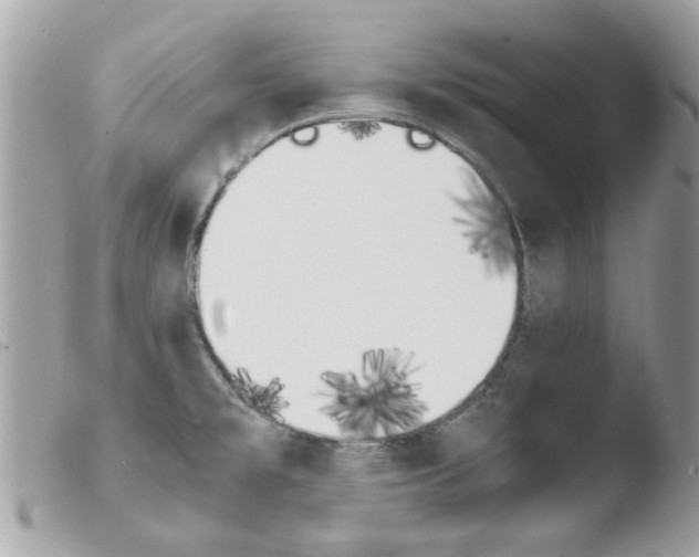 X0000103941477200810171803