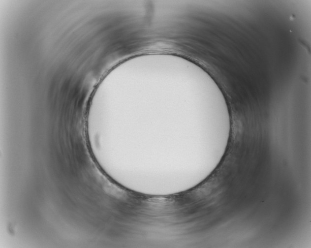 X0000103941478200810171803