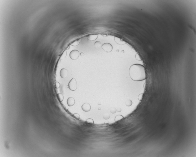 X0000103941479200810171803