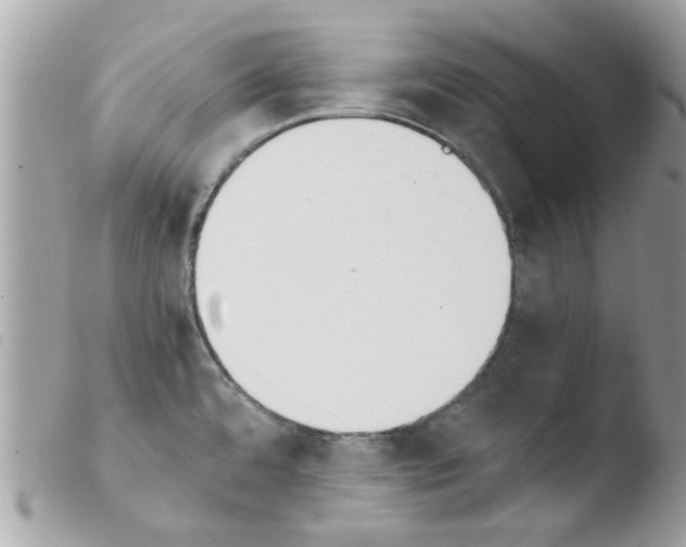 X0000103941480200810171803