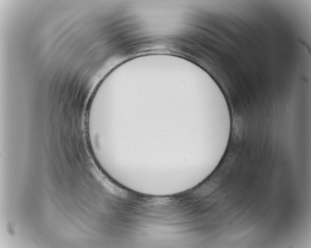 X0000103941482200810171803